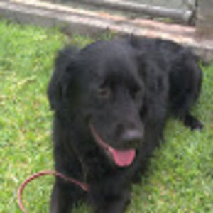 Meet your Posher, Colleen